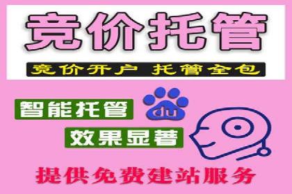 SEM竞价托管案例：提升广告效果的关键策略